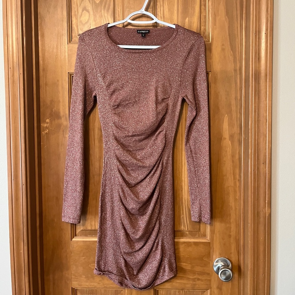 Ladies Express Longsleeve Dress